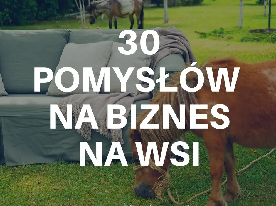 Jakie biznesy otworzyć na wsi, aby uniknąć porażki i zyskać?