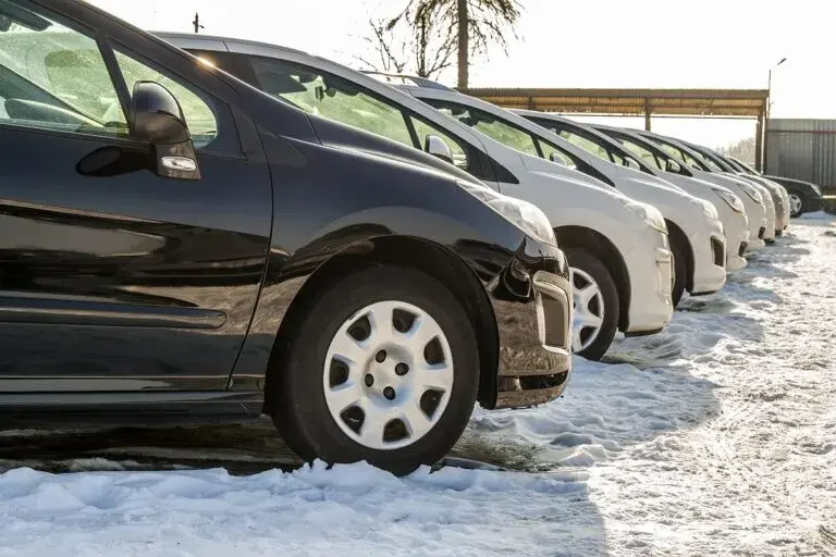 Giełda Ciechanów - kiedy otwarta? Sprawdź godziny i dni otwarcia