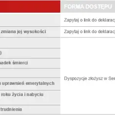 Co z PPK po ustaniu zatrudnienia? Oto co musisz wiedzieć