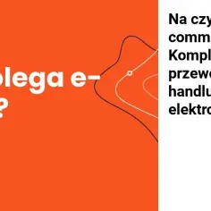 Biznes online na czym polega? Kluczowe informacje i przykłady